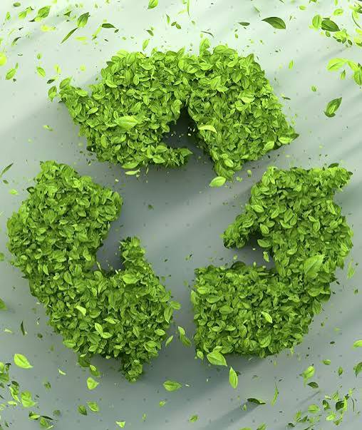 Sustainability